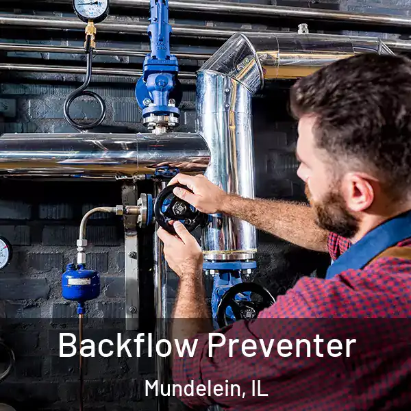  Backflow Preventer Mundelein, IL