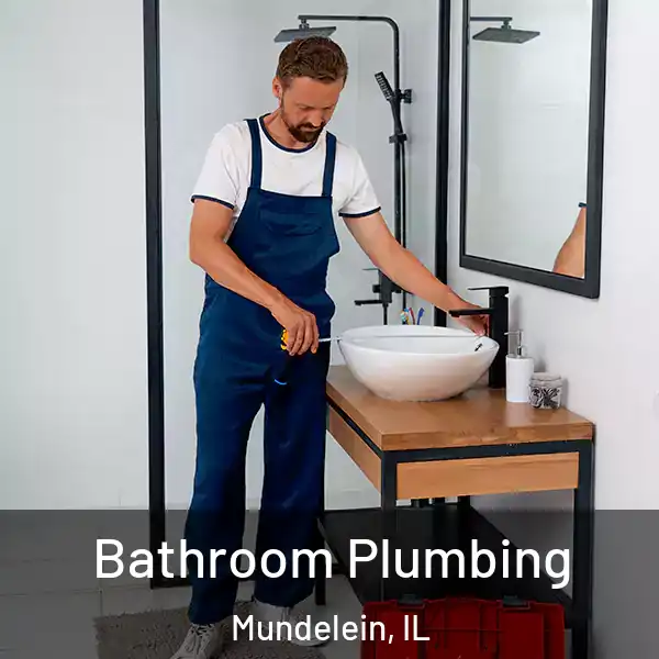  Bathroom Plumbing Mundelein, IL