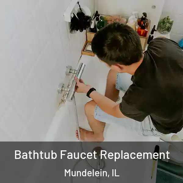  Bathtub Faucet Replacement Mundelein, IL