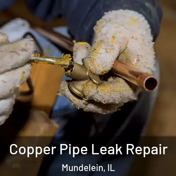  Copper Pipe Leak Repair Mundelein, IL