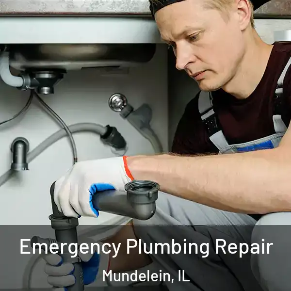  Emergency Plumbing Repair Mundelein, IL