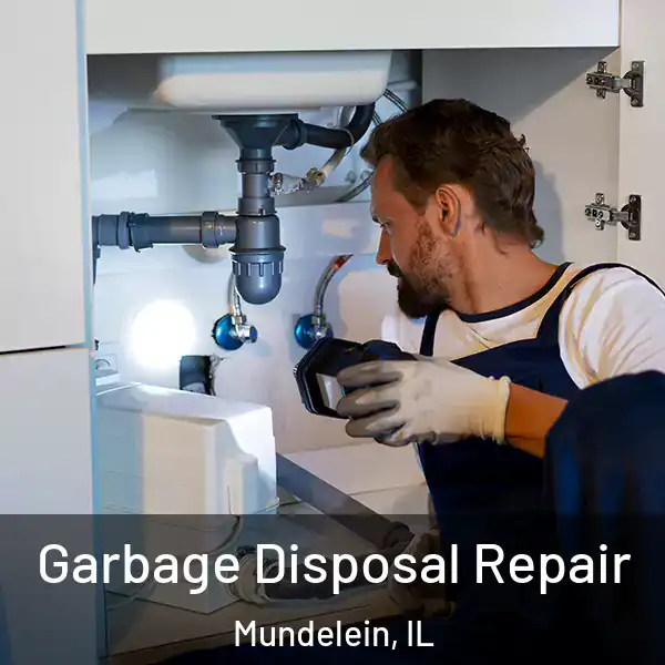  Garbage Disposal Repair Mundelein, IL