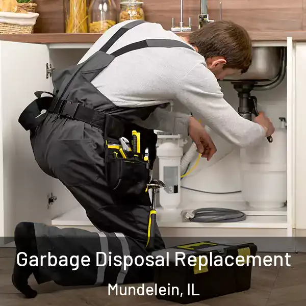  Garbage Disposal Replacement Mundelein, IL