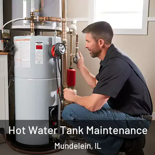  Hot Water Tank Maintenance Mundelein, IL