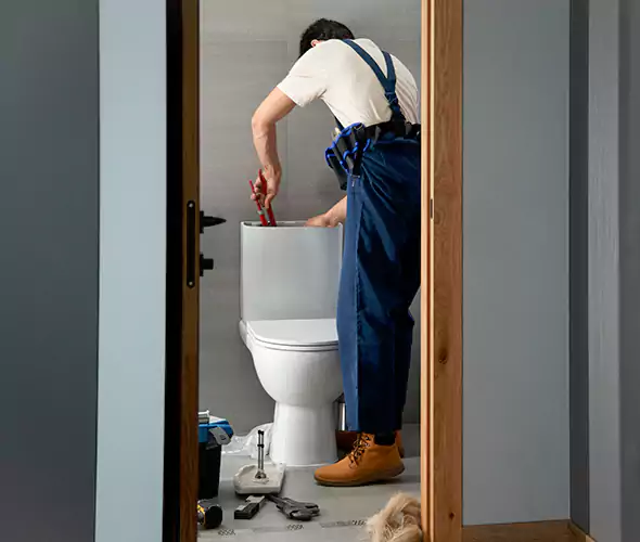 Professional Plumbers for Toilet Bowl Replacement in Mundelein, IL: Schedule Affordable Toilet Replacement Services With Us