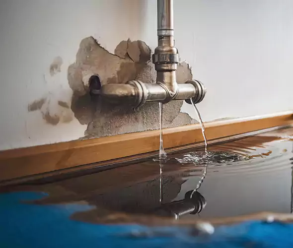 Professional Water Damage Restoration Experts in Mundelein, IL — Fast, Reliable & Certified