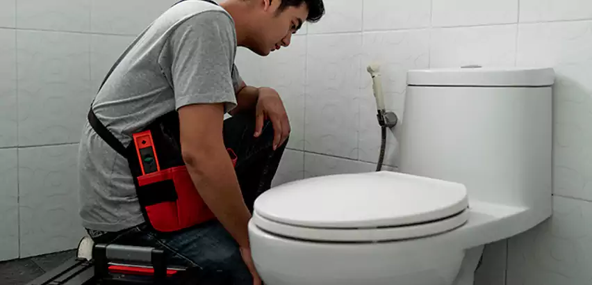 Toilet Repair in Mundelein