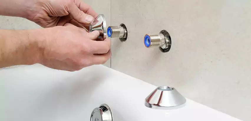 Bathtub Faucet Diverter Replacement in Mundelein