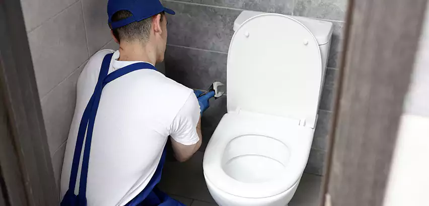 Toilet Lid Replacement in Mundelein