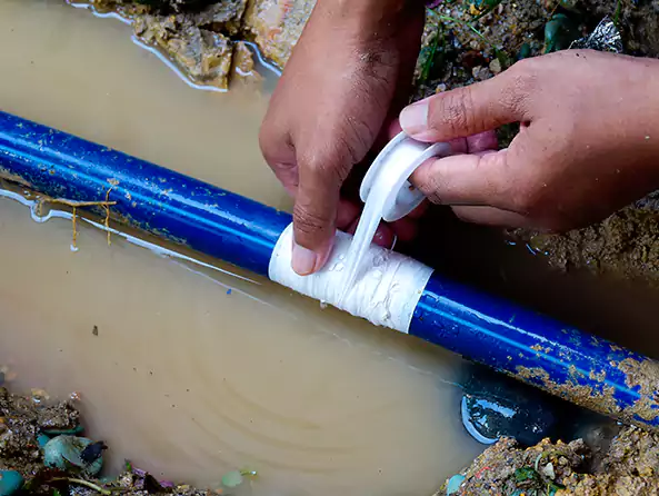  Why Choose Mundelein Plumbing for Leak Detection in Mundelein, IL?]