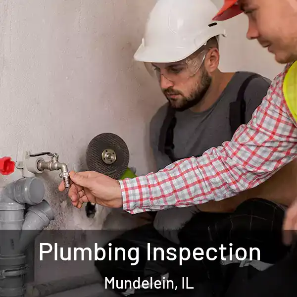  Plumbing Inspection Mundelein, IL