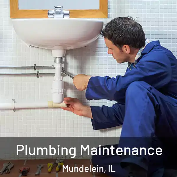  Plumbing Maintenance Mundelein, IL