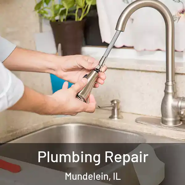  Plumbing Repair Mundelein, IL