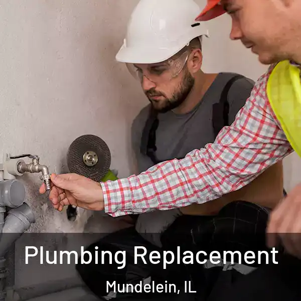  Plumbing Replacement Mundelein, IL