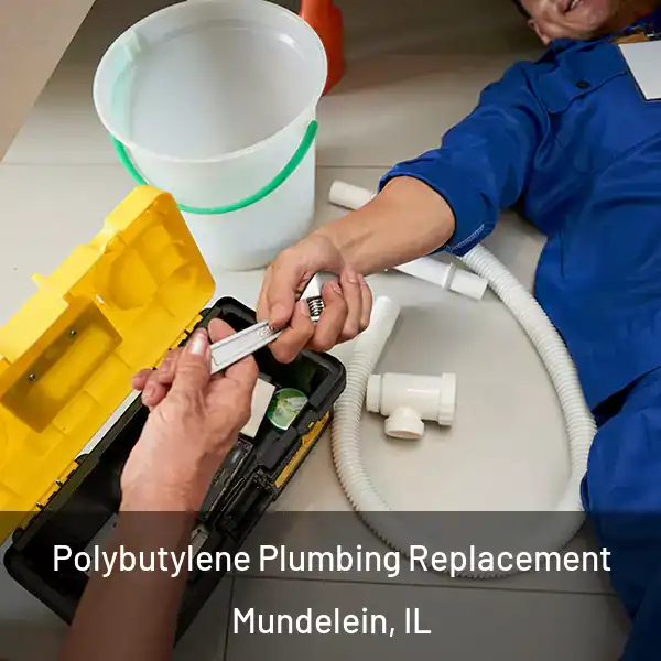  Polybutylene Plumbing Replacement Mundelein, IL