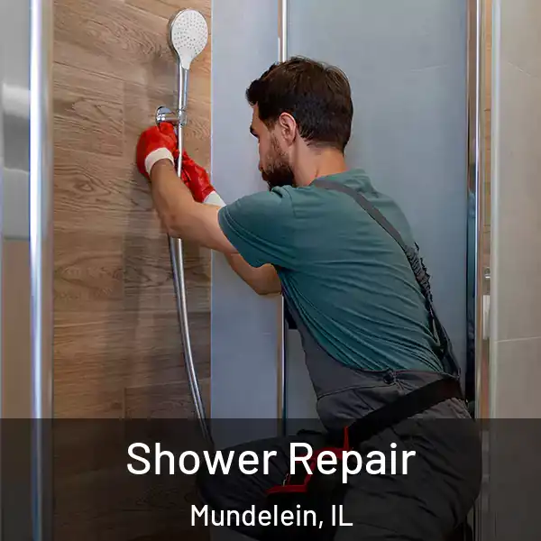  Shower Repair Mundelein, IL