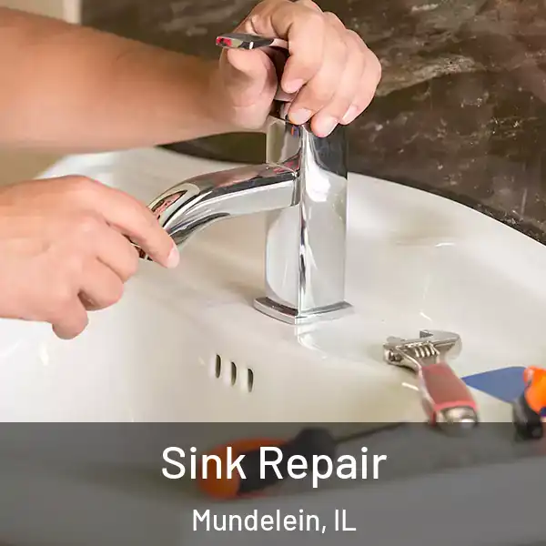  Sink Repair Mundelein, IL