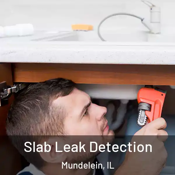  Slab Leak Detection Mundelein, IL