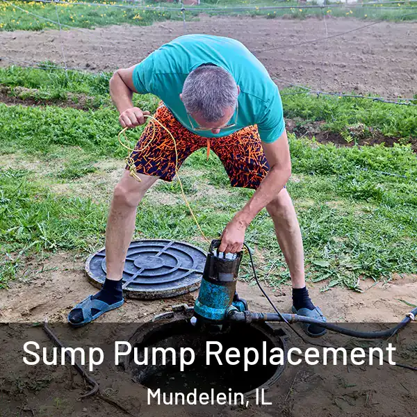  Sump Pump Replacement Mundelein, IL