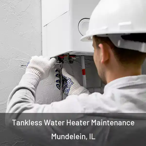  Tankless Water Heater Maintenance Mundelein, IL