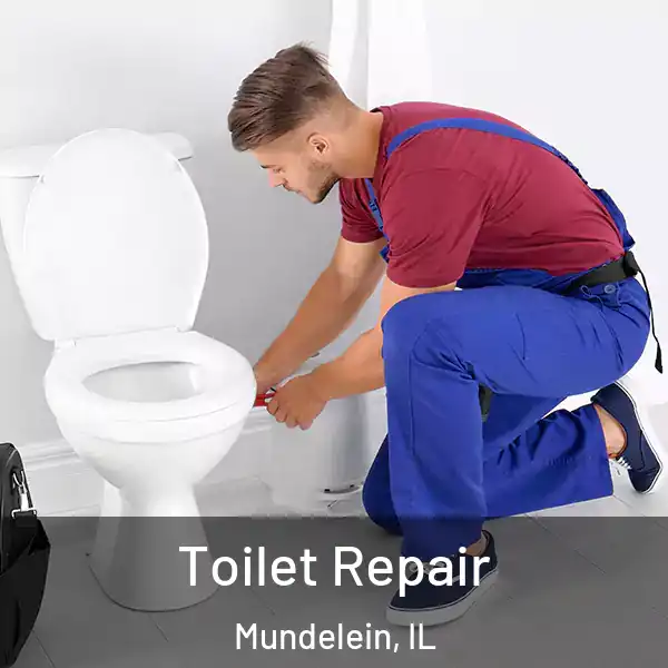 Toilet Repair Mundelein, IL
