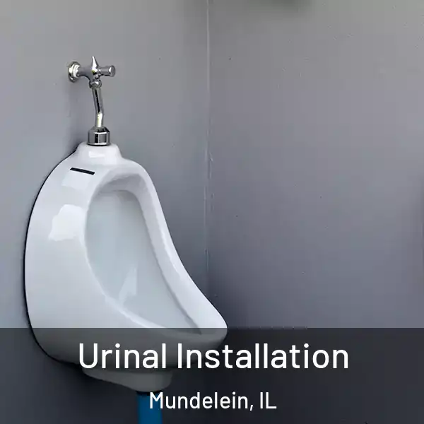  Urinal Installation Mundelein, IL