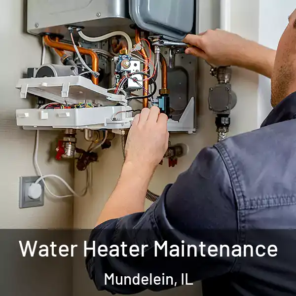  Water Heater Maintenance Mundelein, IL