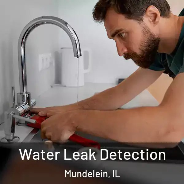  Water Leak Detection Mundelein, IL