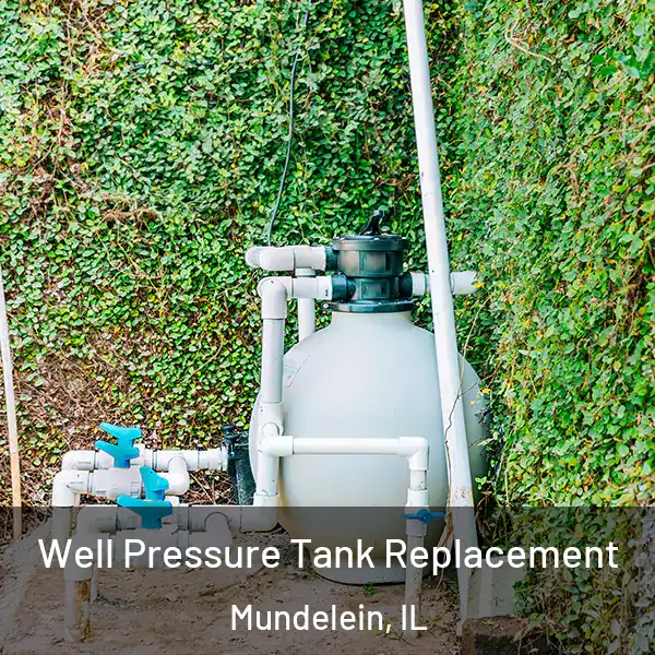  Well Pressure Tank Replacement Mundelein, IL