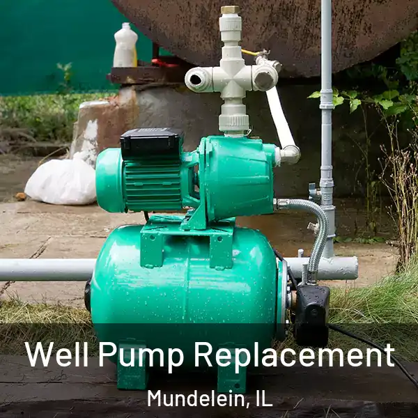  Well Pump Replacement Mundelein, IL